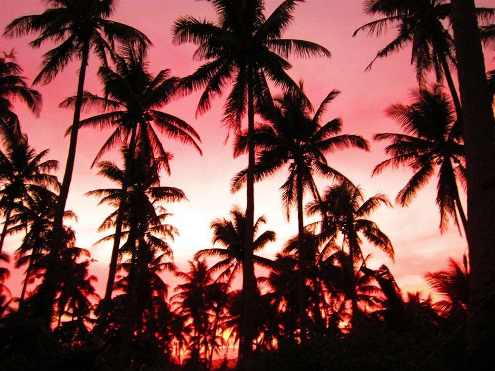 Balay de la Rama Bed&Breakfast Legazpi Bagian luar foto