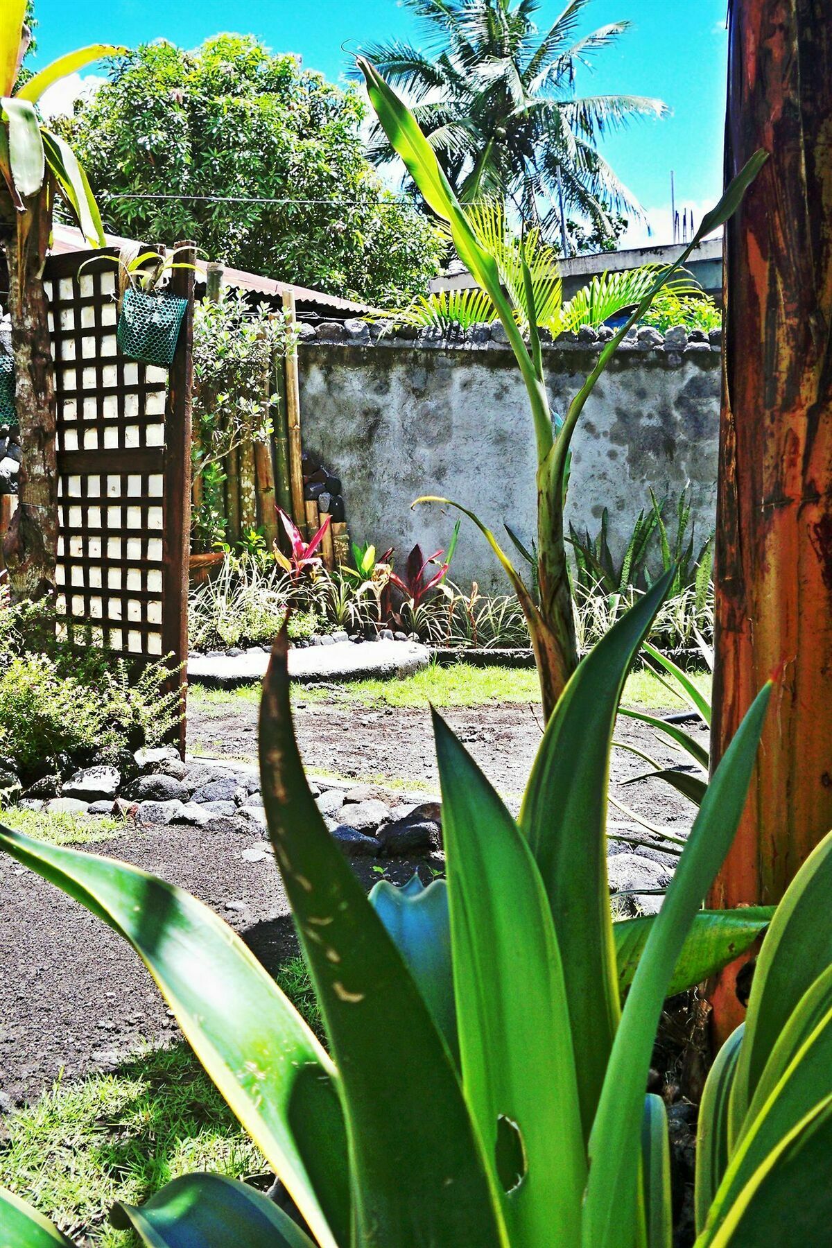 Balay de la Rama Bed&Breakfast Legazpi Bagian luar foto